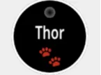 Thor dog tag