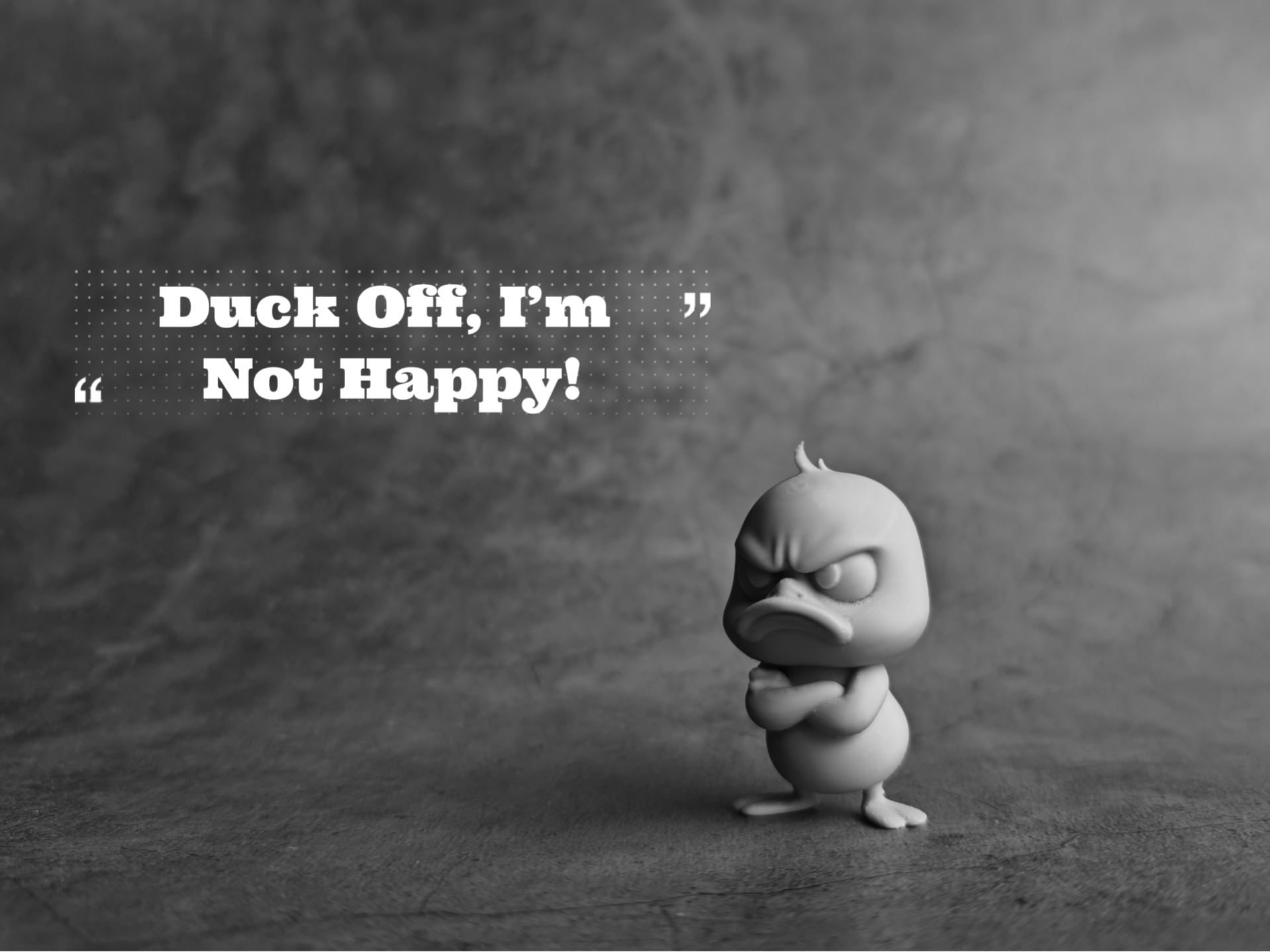 Angry Little Duck 3 Hayvan Minyatür Model Süsleme Süsleme