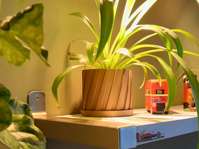 Plant Pot  