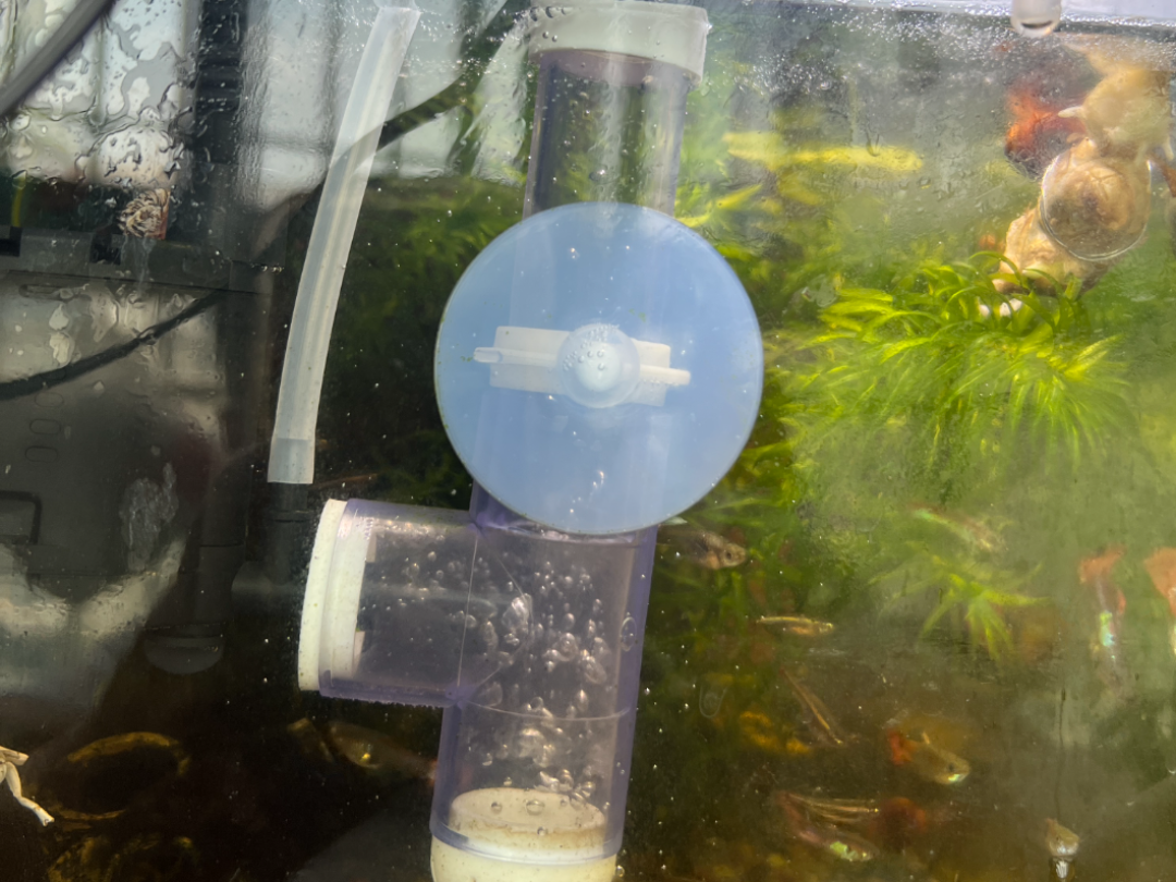 简单的鱼缸泡泡分离器