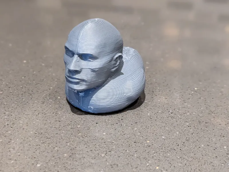 the rock duck