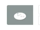 Ruby dog tag