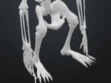 ET kostra