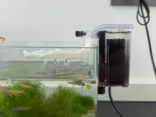 https://makerworld.bblmw.com/makerworld/model/DSM00000001338242/design/2025-04-20_19e00c197e2ce.jpg