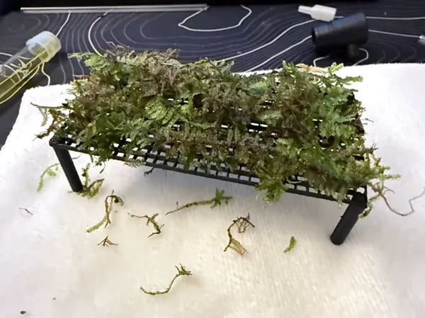 https://makerworld.bblmw.com/makerworld/model/DSM00000001338380/design/2025-04-19_44e67f73f9a31.jpg