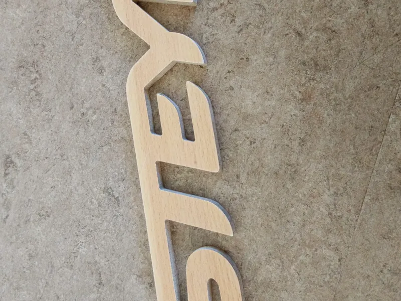 Steyr Logo