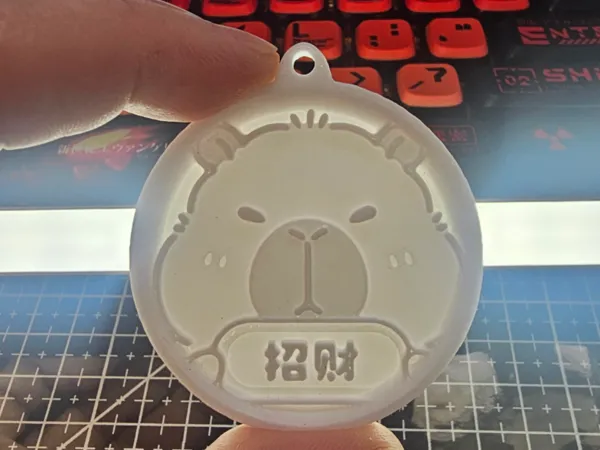 https://makerworld.bblmw.com/makerworld/model/DSM00000001339634/design/2025-04-20_94843351161d.jpg