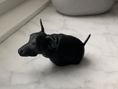 poopydawg