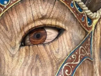 Eye