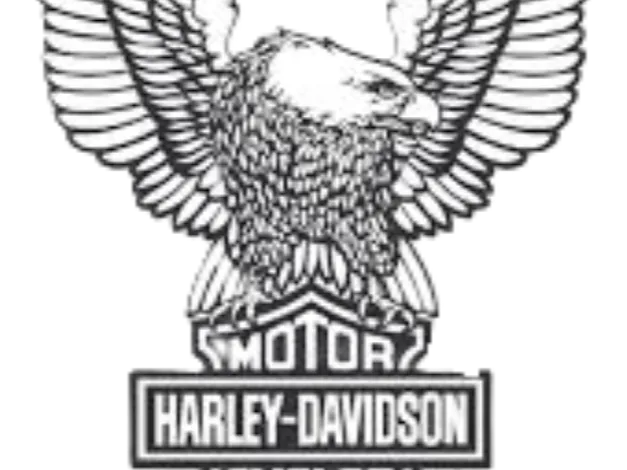 Harley Davidson Keychain