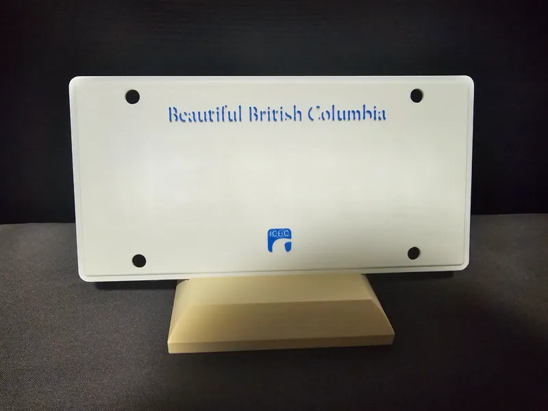 Mini ICBC license plate
