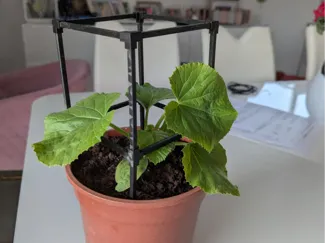 Tour pour plantes
