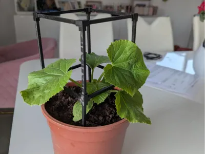 Plant stand