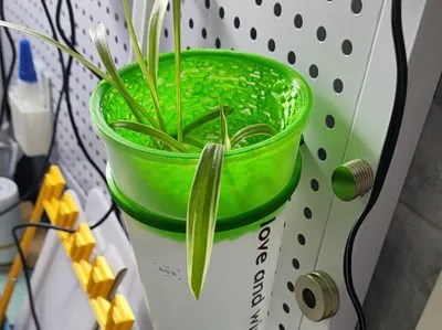 Milk Tea Cup Holder for Pegboard