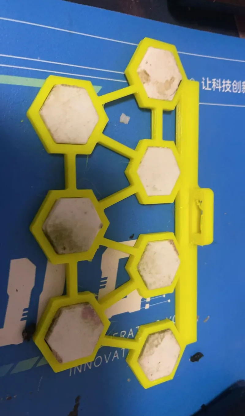 通用珊瑚基座支架