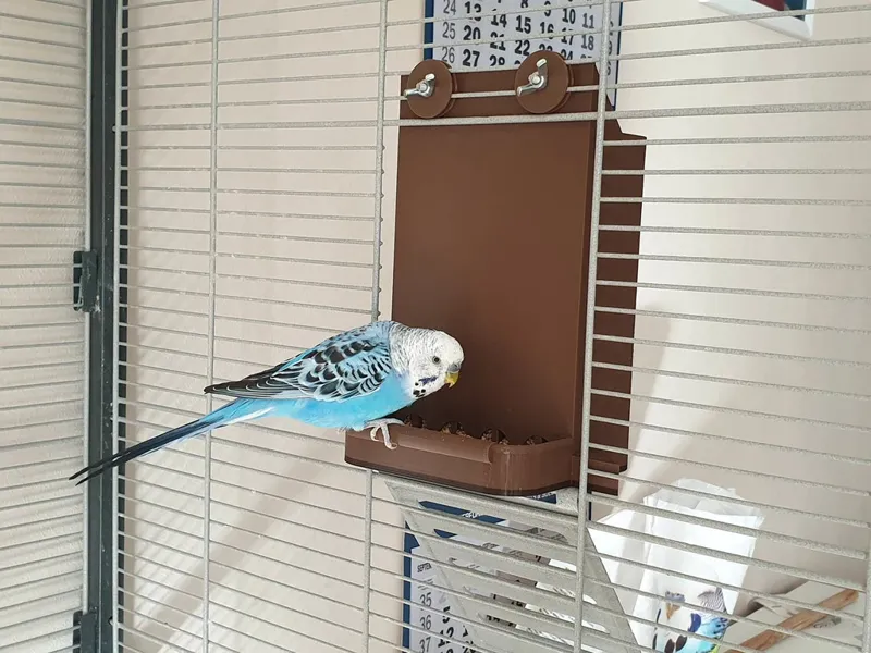 Feeder for the Montana Paradiso bird cage