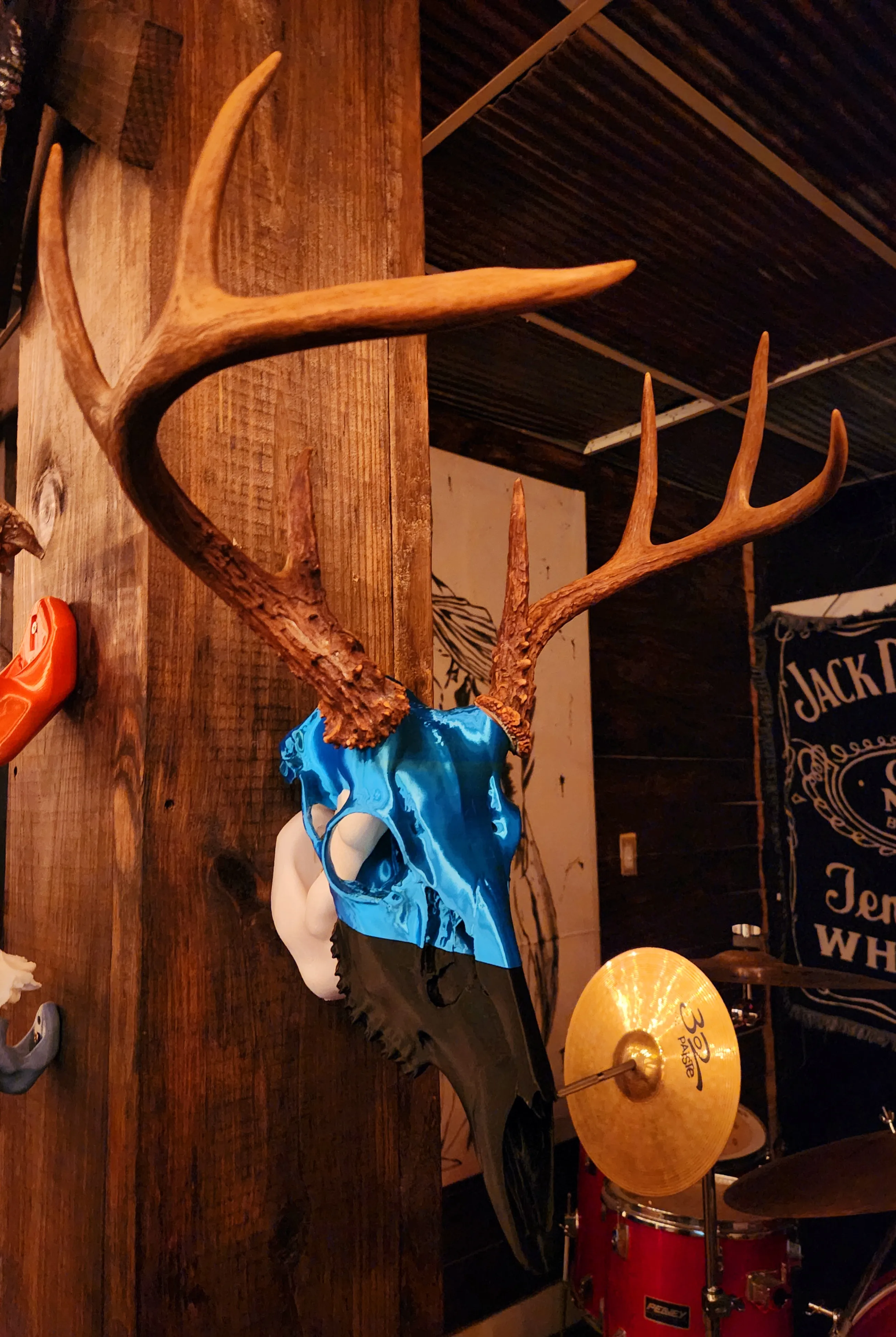 "Symbolic Alien" Deer Skull Antler Mount w/ knobs by DTM247 MakerWorld ...