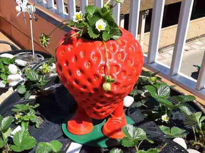 Strawberry with legs