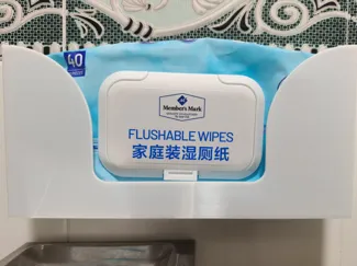 山姆湿厕纸收纳盒