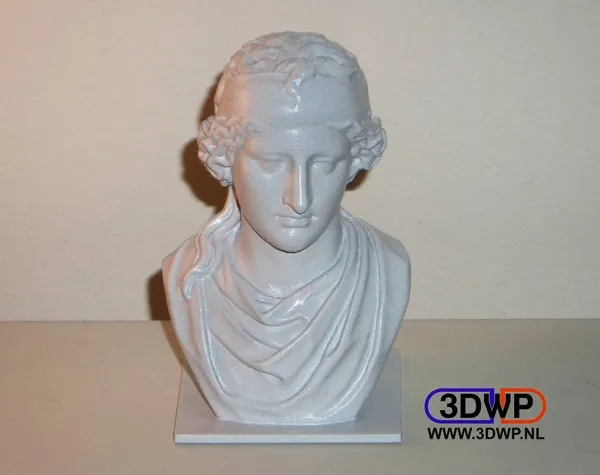 https://makerworld.bblmw.com/makerworld/model/DSM00000001356291/design/2023-11-12_powpssrvuxll.jpg