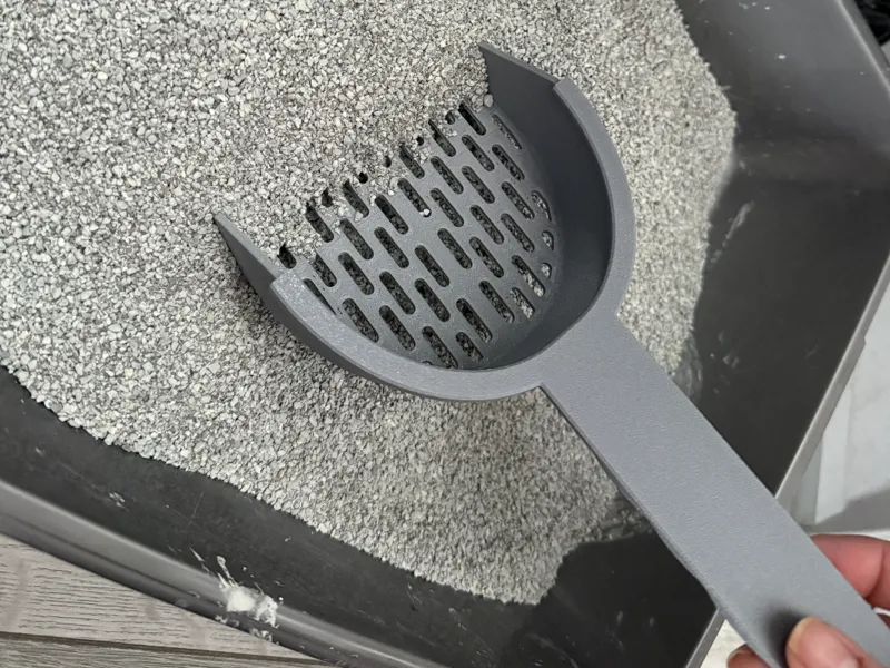 Kitten Poop Scoop