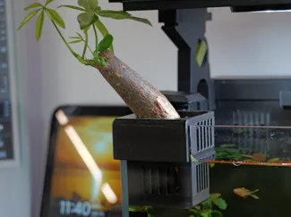 鱼缸转角水培篮|适配小米鱼缸一代5mm玻璃