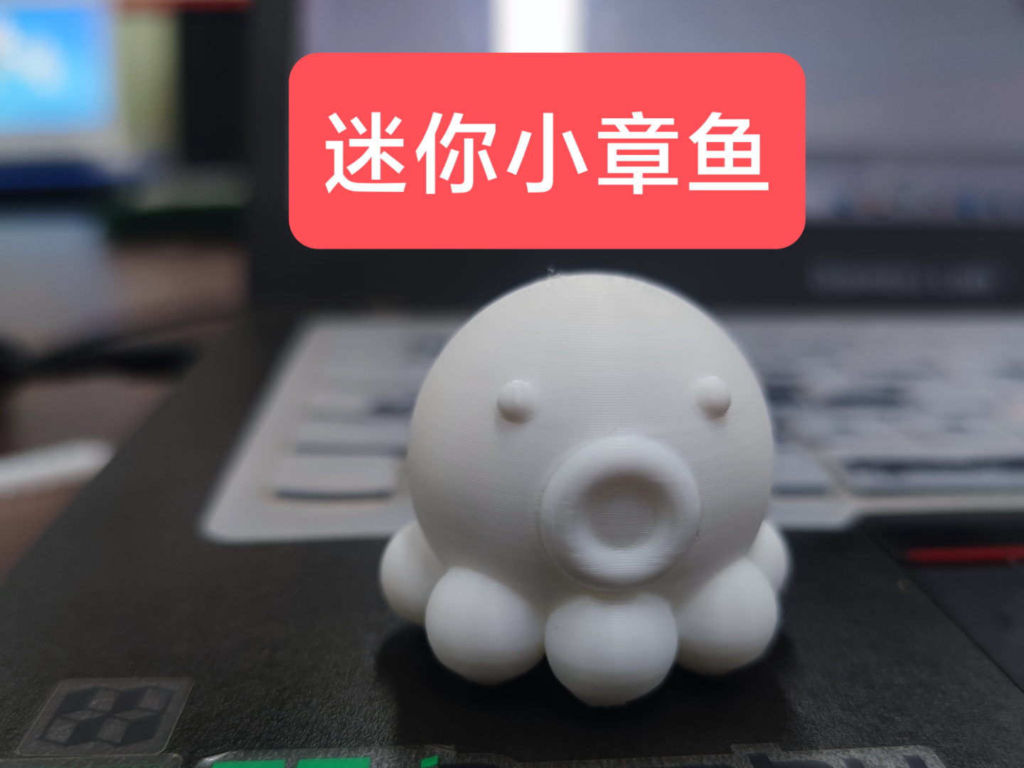迷你小章鱼