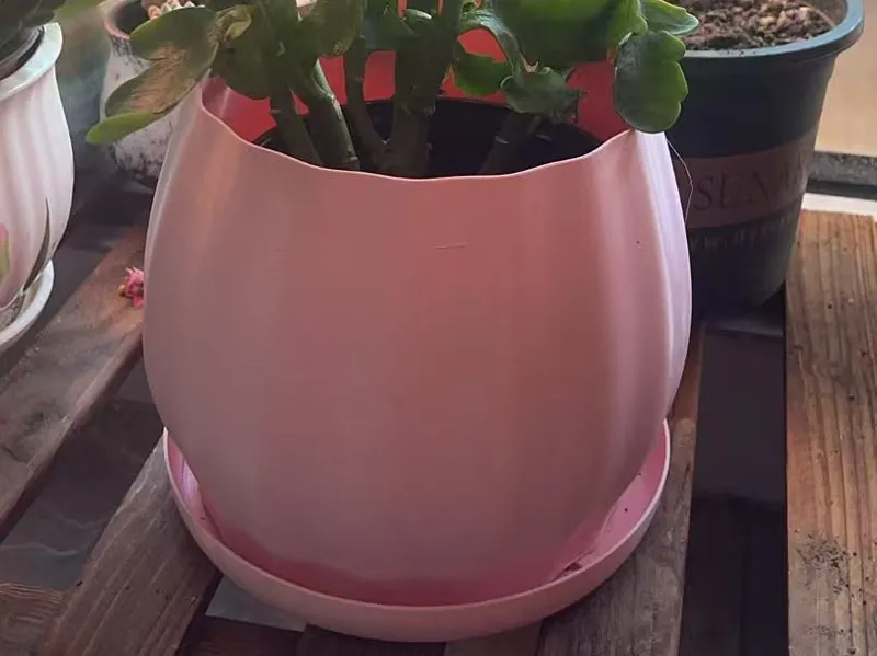 花盆小底座花盆带孔