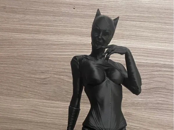 https://makerworld.bblmw.com/makerworld/model/DSM00000001362244/design/2025-04-27_9f6a7d6eb160d8.jpeg