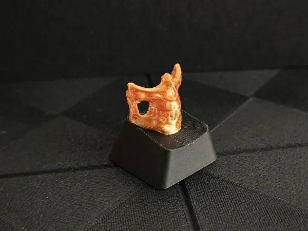 https://makerworld.bblmw.com/makerworld/model/DSM00000001364052/design/2025-04-28_a90935c5882598.jpg