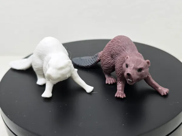 https://makerworld.bblmw.com/makerworld/model/DSM00000001364177/design/2025-04-28_aff11d8256fd1.jpg