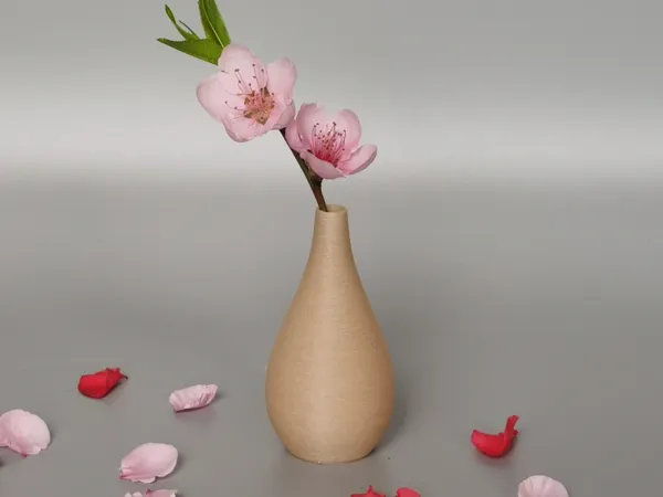 https://makerworld.bblmw.com/makerworld/model/DSM00000001365421/design/2025-04-29_ac78d823dc54a8.jpg