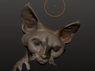 Devon cat