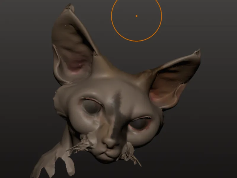Devon cat