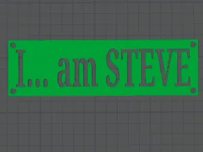 I... am STEVE