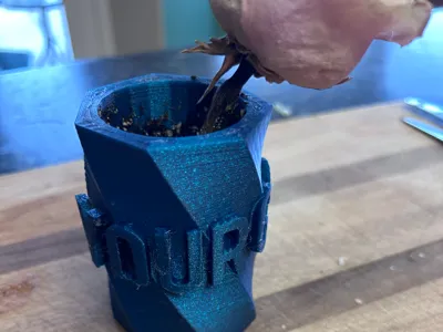 vase