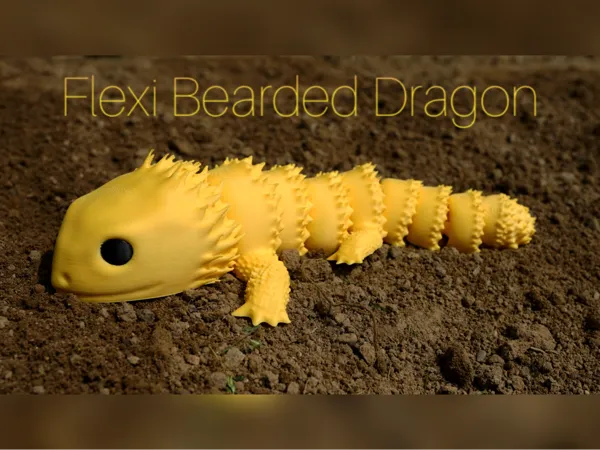 https://makerworld.bblmw.com/makerworld/model/DSM00000001369102/design/2025-04-29_68adf86368b6f.png