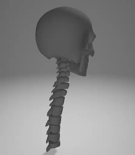 https://makerworld.bblmw.com/makerworld/model/DSM00000001370574/design/2025-04-30_d676d5b9f95c8.gif