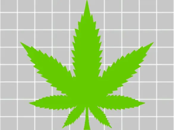 cannabis