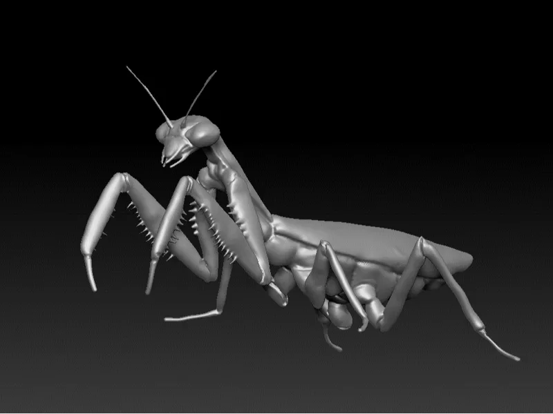 Preying Mantis