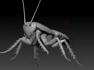 Roach