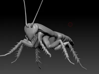 Roach