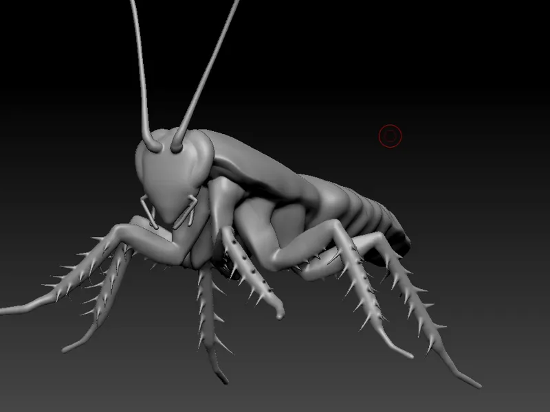 Roach