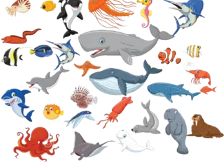 articulated sea creature collection