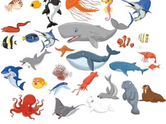 articulated sea creature collection