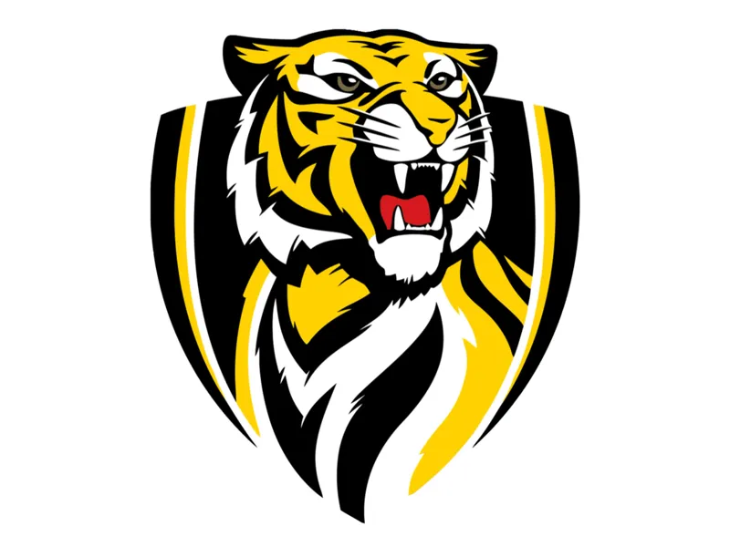 richmond tigers keychain