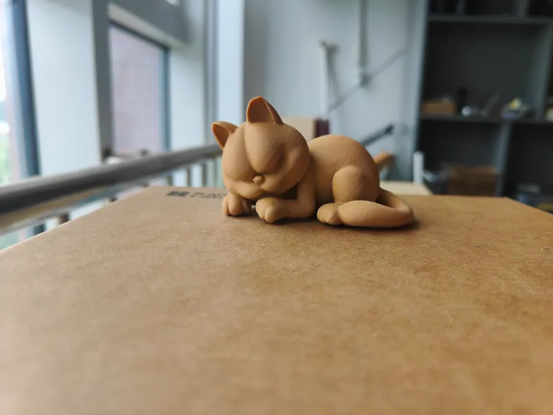 熟睡的加菲猫