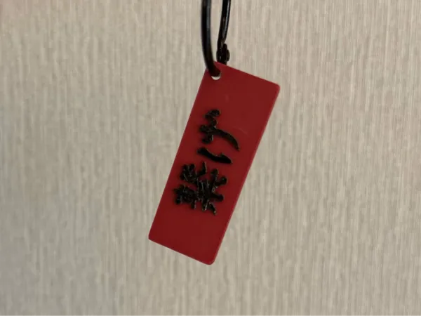 https://makerworld.bblmw.com/makerworld/model/DSM00000001376063/design/2025-05-02_43f24e2c8c4e7.jpg