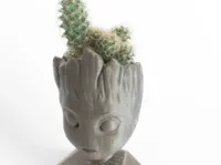 Tête de Groot pot de fleurs — photo 1