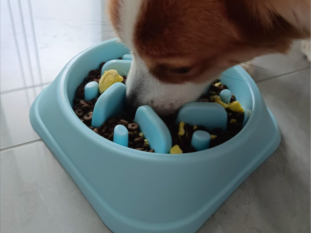 Evcil hayvan malzemeleri köpek yavaş yemek kasesi